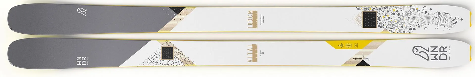 AUTRE Alpine Vital 100 Camber 2 AUTRE Alpine Vital 100 Camber – Image 2